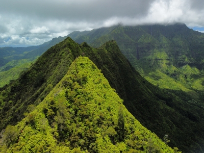 Hihimanu