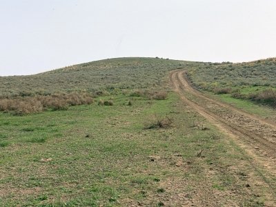 Hollow Top