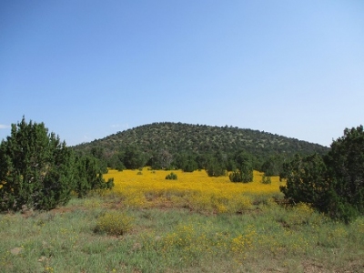 Sheep Hill