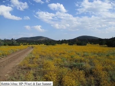 Hobble Mountains, East