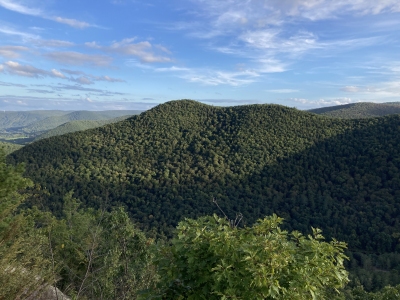 Todd Mountain