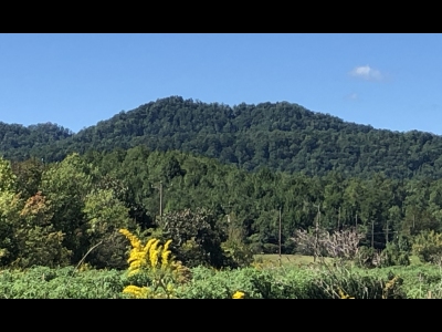 Sheep Knob