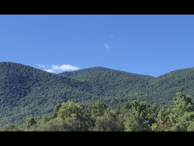 Grassy Ridge