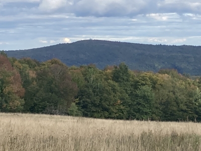 Bryant Mountain