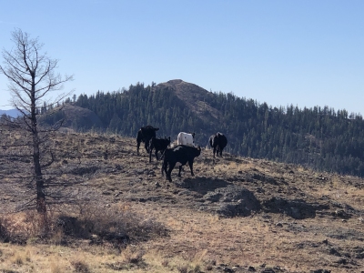 Thirteenmile Mountain