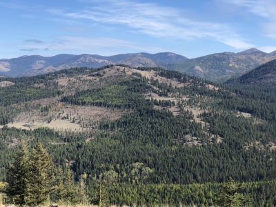 Iron Mountain
