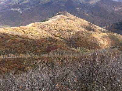 Fire Ridge
