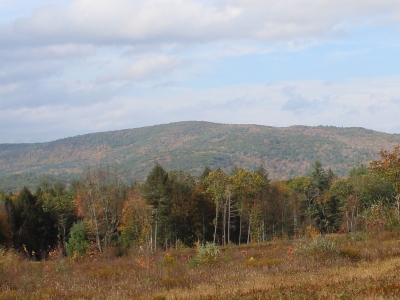 Pocumtuck Mountain