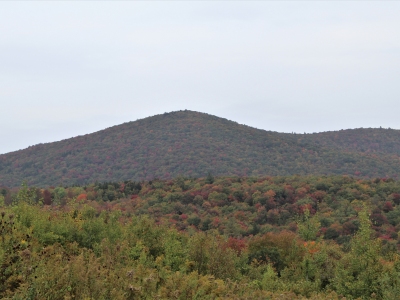 Spruce Mountain