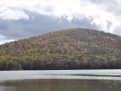 Adams Mountain