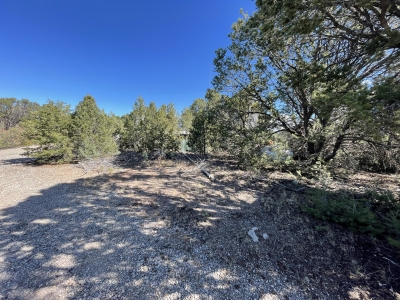Mule Peak