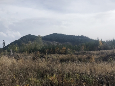Green Hill