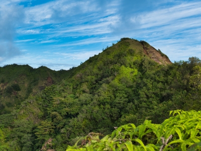 Pu'u'okona