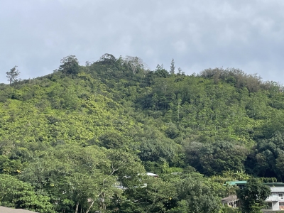 Pu'upia