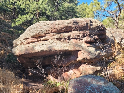 "Zoofarsus Boulder"