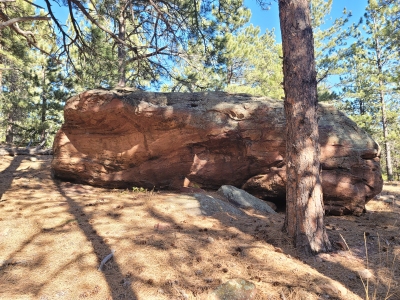 "Micro Bus Boulder"