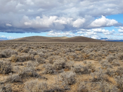 Brown Knoll