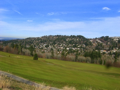 "Hilltop"