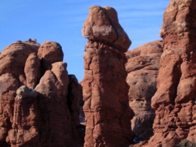 Phallus, The