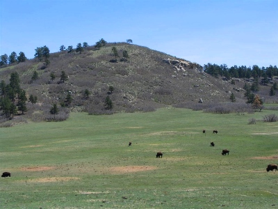 Bucks Mountain
