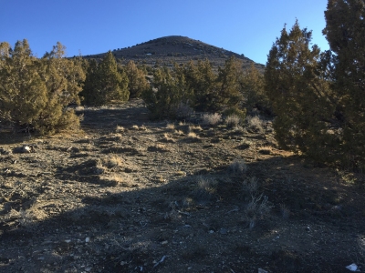 Alpha Butte