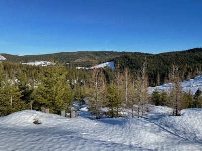 John Point