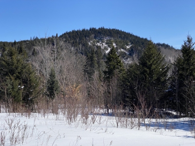 Sable Ridge
