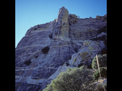 "Killer Pillar"