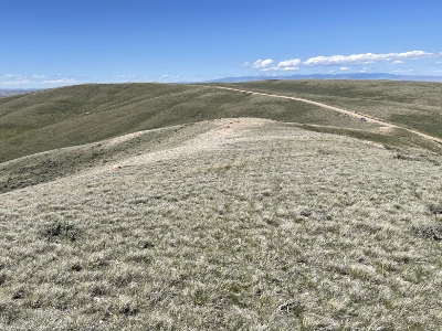 McCullough Peaks WSA HP