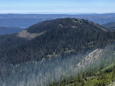 Little Mountain