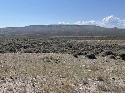 Cedar Mountain