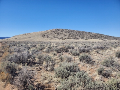Gray Knoll
