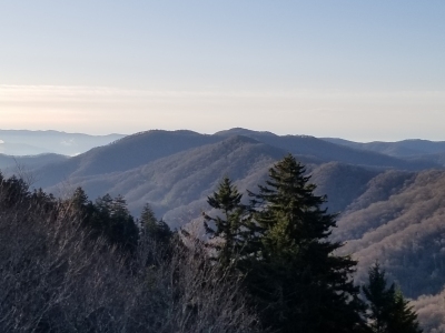 Nettle Creek Bald