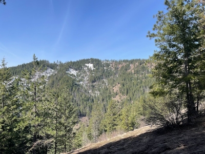 Carrill Peak
