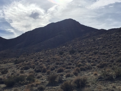 Fox Mountain
