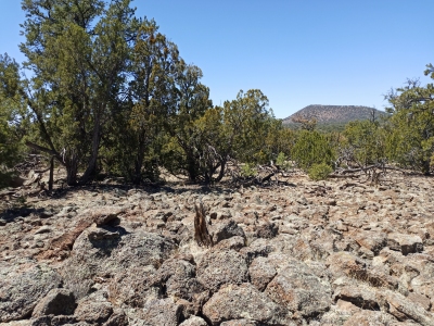 West Malpais Wilderness HP