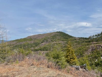 Buck Butte