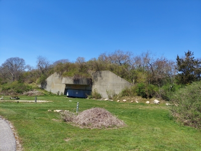 Bluff Hill