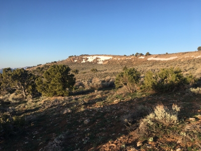 Buck Ridge