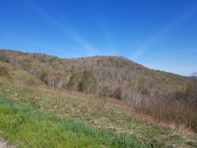 Cataloochee Divide