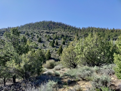 8601