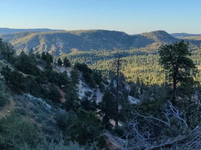 Little Mountain