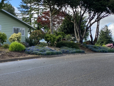 Telegraph Hill