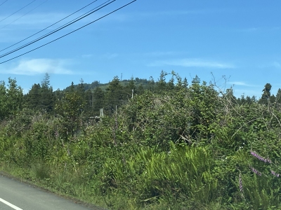 "Bearhead Mountain"