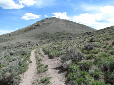 White Ridge