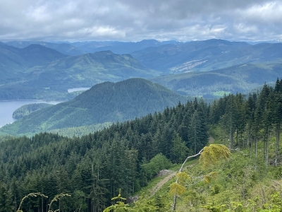 "Hanson Hill"