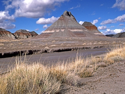 Tepees, The