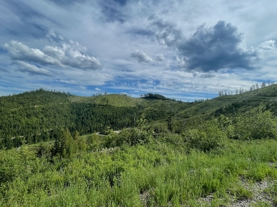Coddington Peak
