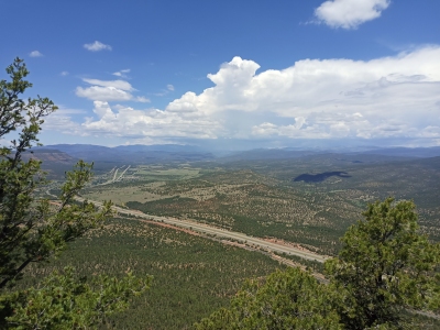 Punta Pajarita