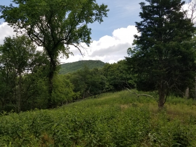 Patterson Creek Mountain